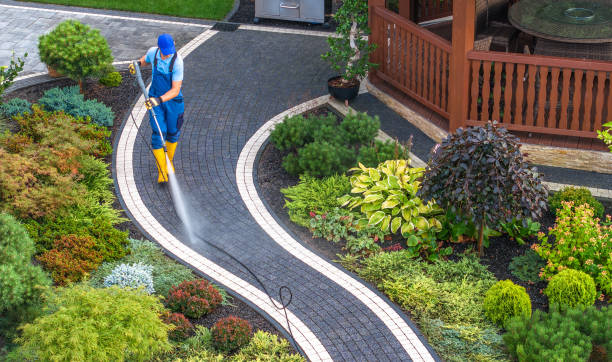Best Roof Pressure Washing  in Desert View Highlands, CA